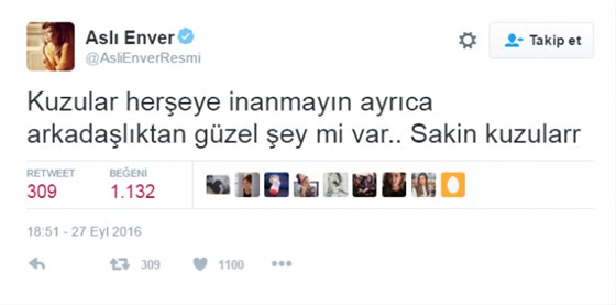 --2414791.jpeg --2414791.jpeg