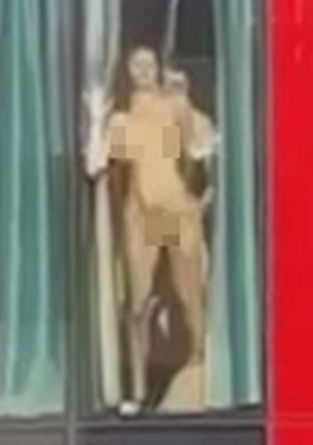 --2491075.jpeg --2491075.jpeg