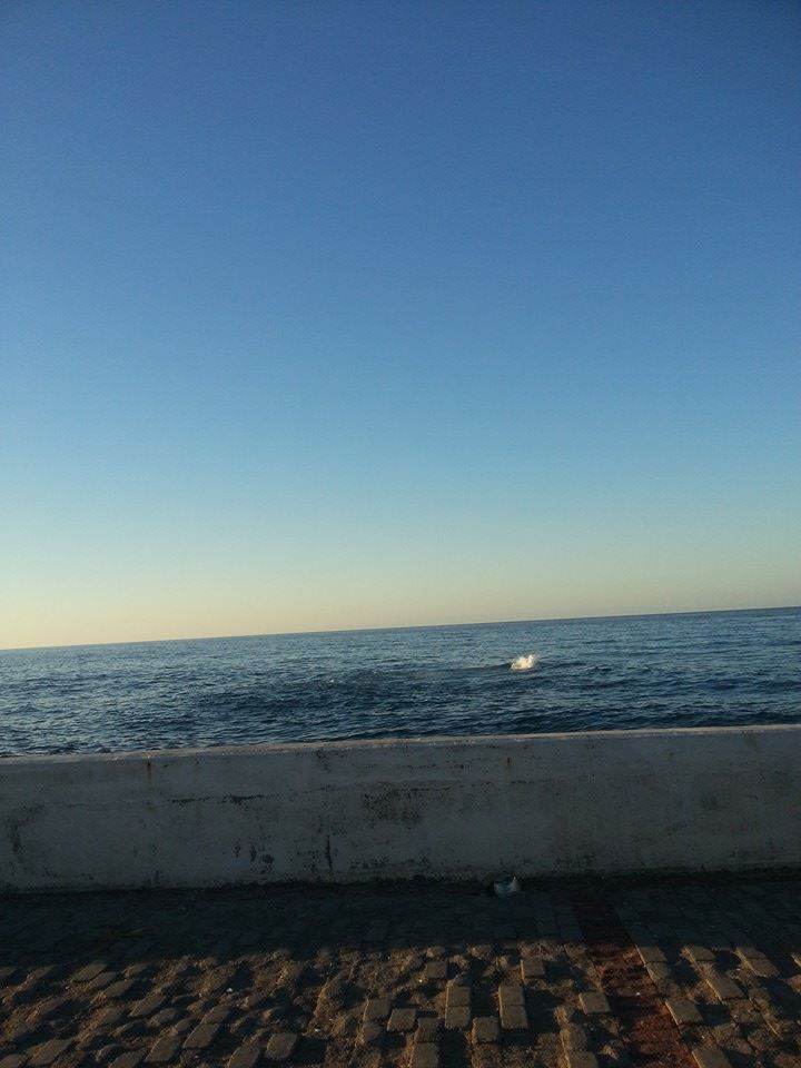 girne-liman.jpg girne-liman.jpg