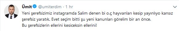 umit-erdim-ic.jpg